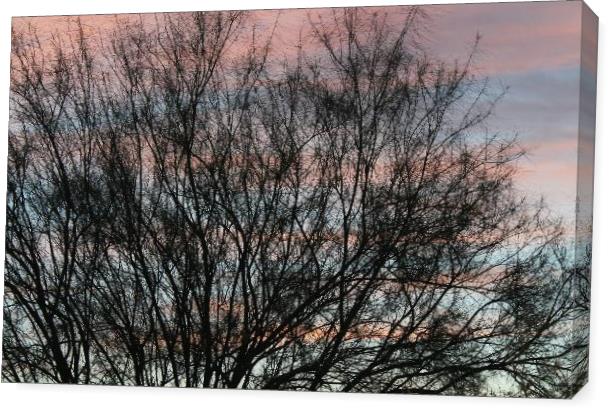 Pastel Tree Pastel Tree