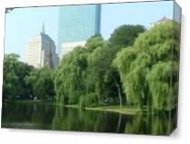 Boston Commons As Canvas