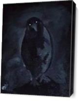 Devil Crow As Canvas