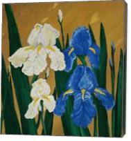 Irises - Gallery Wrap