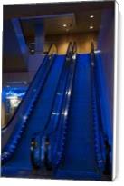 Blue Eskalator - Standard Wrap