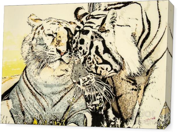 Affection Between Tigers Affection Between Tigers