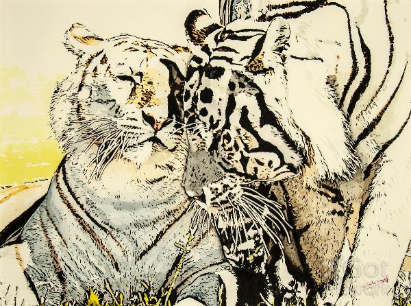 Affection Between Tigers Affection Between Tigers