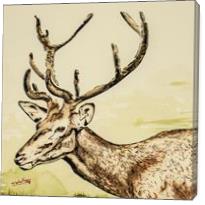 Deer - Gallery Wrap