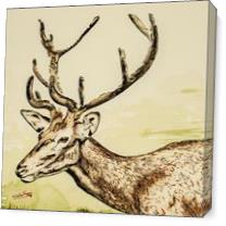 Deer - Gallery Wrap Plus