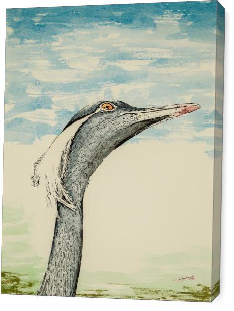 Heron Looking At The Sky Heron Looking At The Sky