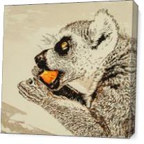 Lemur Eating Fruit As Canvas