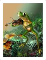 A Frog Fiddle Player - No-Wrap