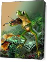 A Frog Fiddle Player As Canvas
