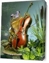 Frog Playing Cello In Lily Pond As Canvas
