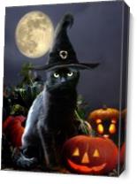 Witchy Halloween Kitty With Pumpkins As Canvas