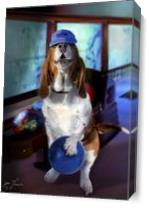 Hound Dog Bowling As Canvas