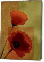 Contemporarie Poppies A Vision In Red - Gallery Wrap
