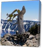 Crater Lake_ Little Bird On Dry 3 As Canvas