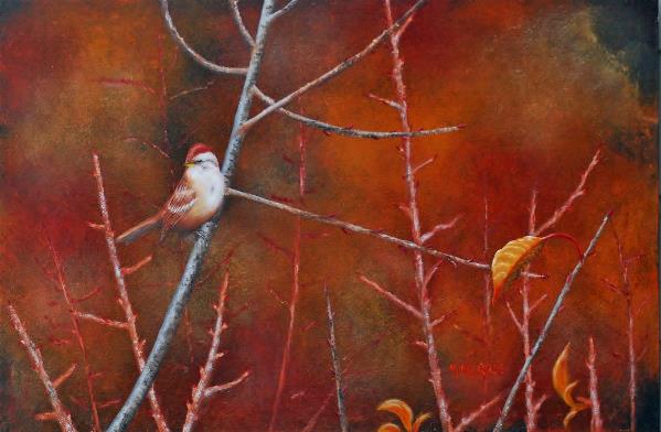 Tree Sparrow Tree Sparrow