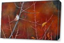 Tree Sparrow As Canvas