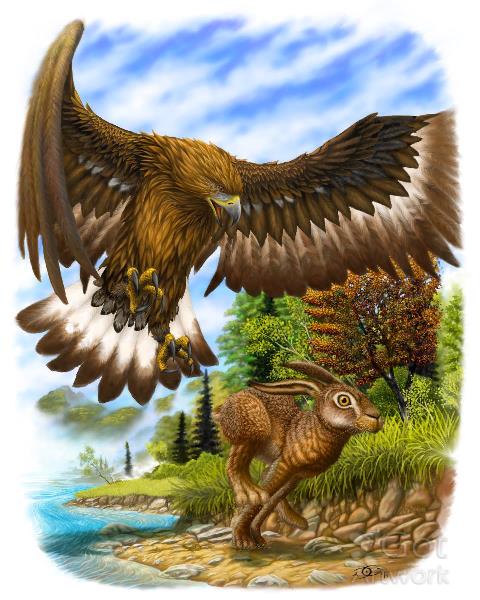 Hairy Chase Hairy Chase