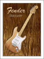 American Fender Stratocaster - No-Wrap