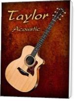 Wonderful Taylor Acoustic Guitar - Standard Wrap