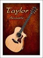 Wonderful Taylor Acoustic Guitar - No-Wrap