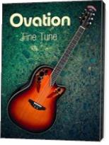 Ovation Fine Tune - Gallery Wrap
