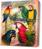 Parrots of Paradise Size 21“ X 25“  ( 1990' ) Original As Canvas