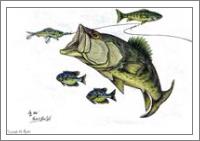Big Bass and Bluegill Fishing  Original Drawing - No-Wrap