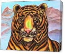 Bengaled Tiger Original Drawing - Gallery Wrap