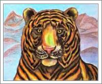Bengaled Tiger Original Drawing - No-Wrap