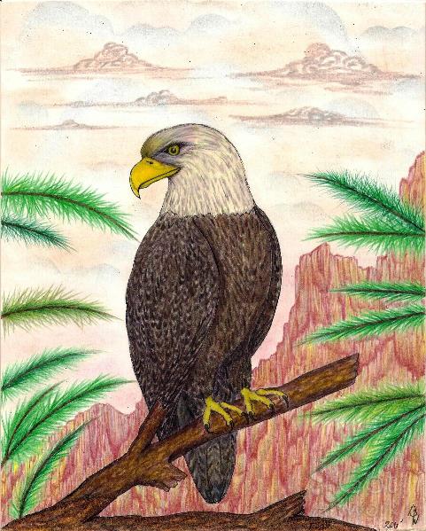 Eagle Of Freedom