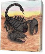 Fury Scorpion As Canvas