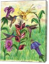The Beautiful Hummingbird Paradise - Gallery Wrap