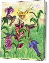The Beautiful Hummingbird Paradise - Gallery Wrap Plus