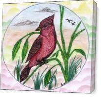The Beautiful Red Cardinal Original Drawing - Gallery Wrap