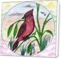 The Beautiful Red Cardinal Original Drawing - Standard Wrap