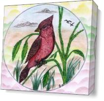 The Beautiful Red Cardinal Original Drawing As Canvas