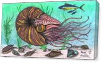 The Legendary Nautilus Sea Creature As Canvas