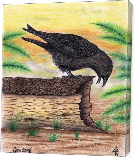 The Curious Crow In Full Color Mixed Media Drawing