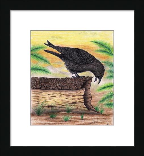 The Curious Crow In Full Color Mixed Media Drawing