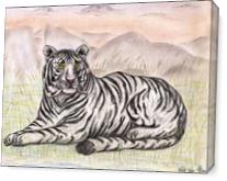 The Enchanting White Tiger - Gallery Wrap