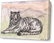 The Enchanting White Tiger As Canvas
