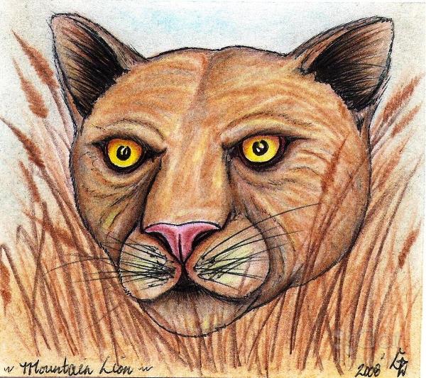 The Prowling Panther Original Full Color Drawing