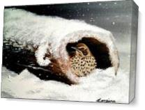 Bird In A Log In Snow As Canvas