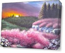 Pink Floral Bushes At Sunset As Canvas