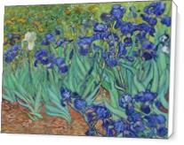Van Gogh S Irises 1889 - Standard Wrap