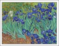 Van Gogh S Irises 1889 - No-Wrap