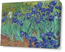 Van Gogh S Irises 1889 As Canvas