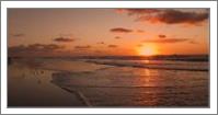 Wildwood Beach Sunrise - No-Wrap
