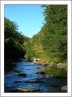 October Salmon River - No-Wrap