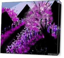 Purple Passion - Gallery Wrap